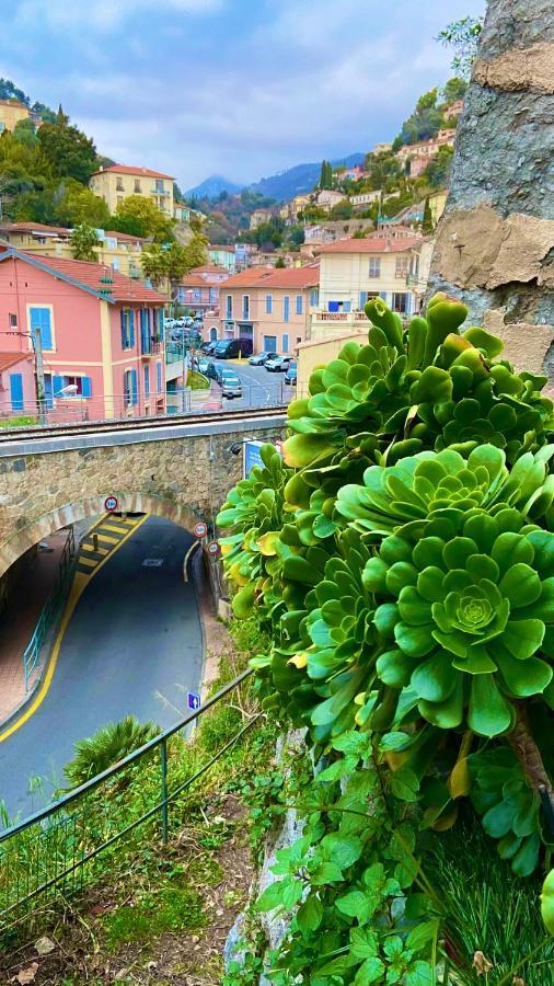 Cozy Lemon Menton